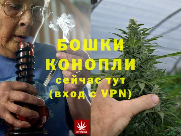 гашик Алексеевка