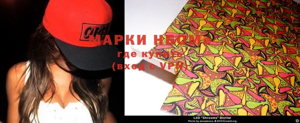 гашик Алексеевка