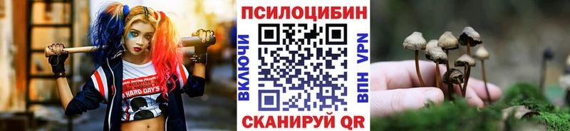 Галлюциногенные грибы прущие грибы  Камень-на-Оби 