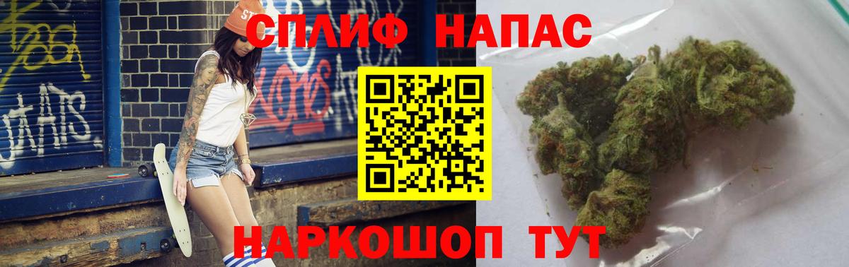 Конопля AK-47 Камень-на-Оби